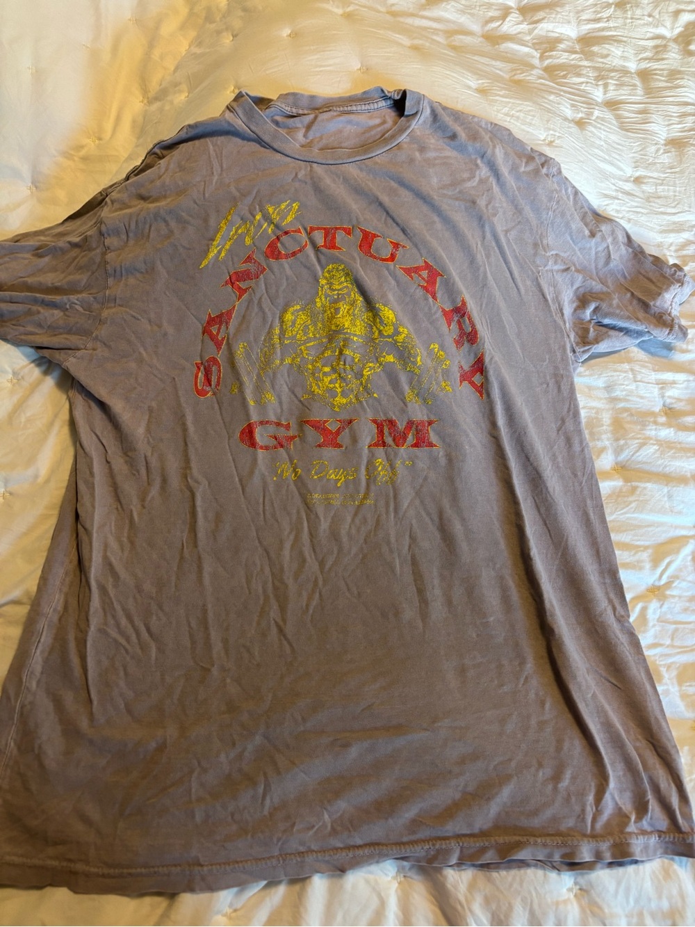 Iron Sanctuary Gym Men's Graphic T-Shirt